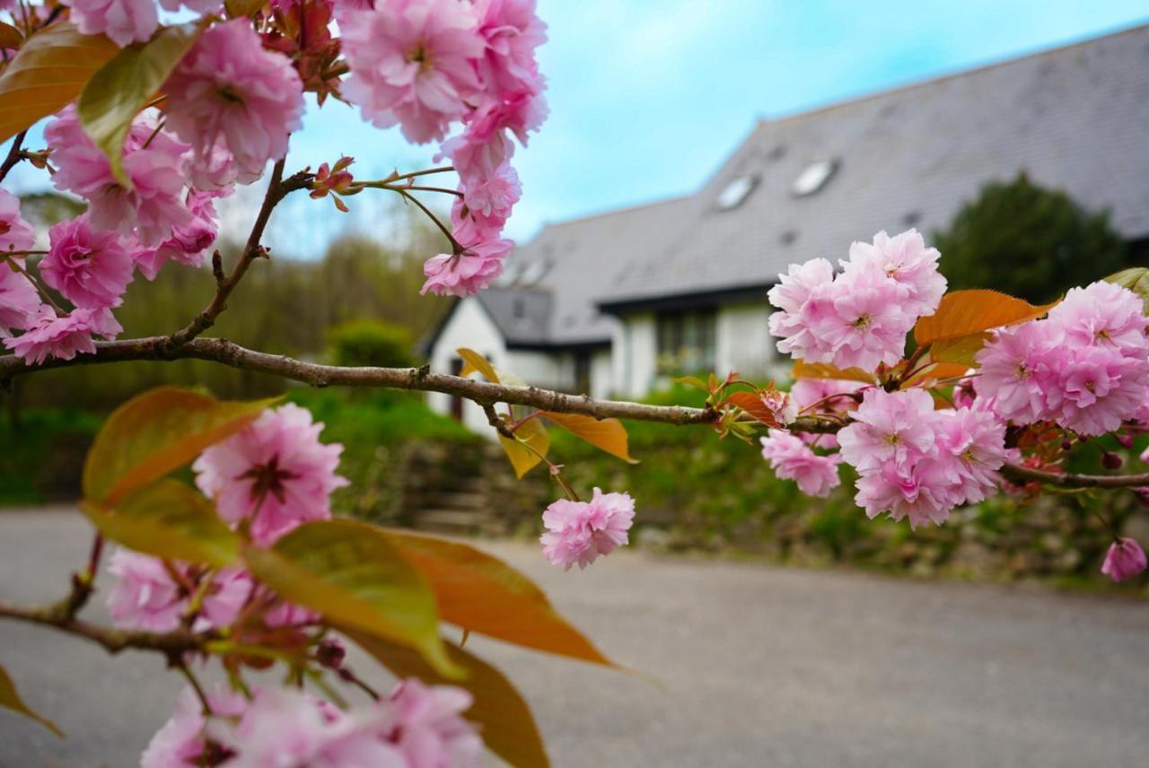 Hustyns Resort Cornwall Withiel Exterior foto